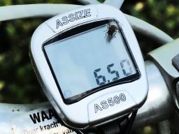 Tom - Het vlieg(t) snel